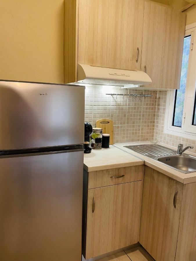 Themarilenehouse Apartment โวโลส ภายนอก รูปภาพ